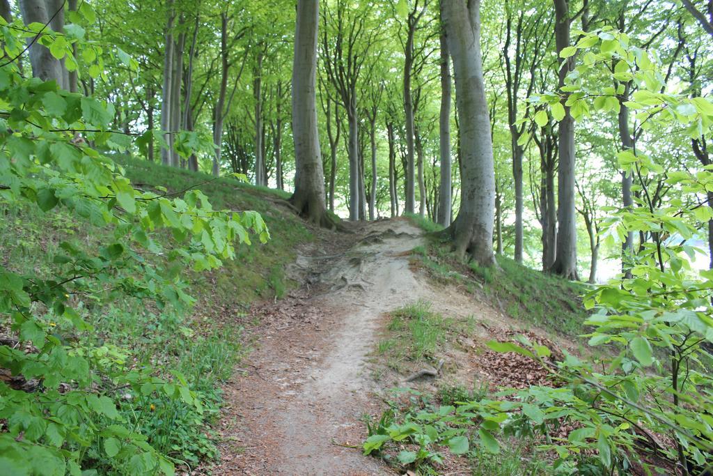 Sund & Skov Snoghøj Esterno foto